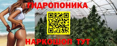 круглые Гатчина