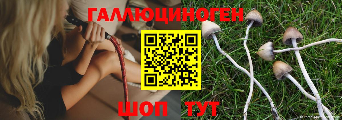 Галлюциногенные грибы MAGIC MUSHROOMS  Вход с VPN  Галлюциногенные грибы Psilocybine cubensis  Саранск 